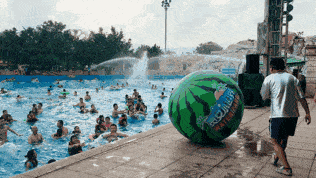 冲浪怎么吃瓜,冲浪潮流下的“吃瓜”文化现象解析