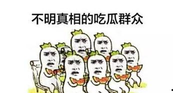 吃瓜事件大全集,揭秘娱乐圈幕后风云