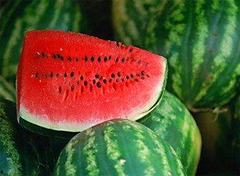 孕妇可以吃雕瓜,孕妇适宜食用的雕瓜