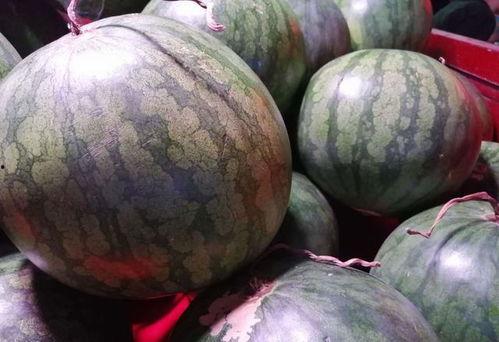 吃瓜相片怎么拍,瓜果相片拍摄技巧解析