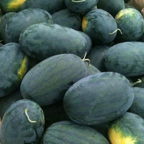 仙桃步行街吃瓜