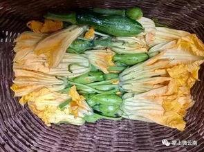 面瓜什么季节吃,秋季滋补佳品，暖身又养颜