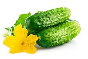 吃方瓜能吃黄瓜吗,能否共享餐桌的美食之谜