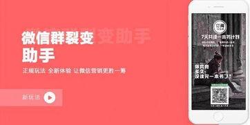 吃瓜群裂变引流,吃瓜群裂变引流策略全解析