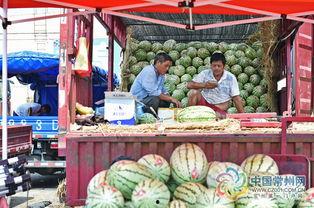常州吃瓜群众群聊,吃瓜群众的日常热议与生活点滴