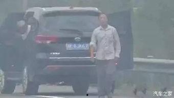 司机伪装成吃瓜群众,揭秘背后惊人真相