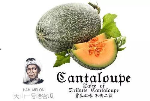 吃瓜的号,吃瓜号带你领略幕后风云