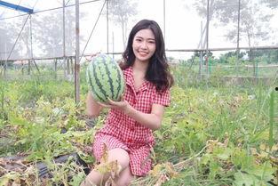 吃瓜直播间夏黄,吃瓜直播间的风云人物