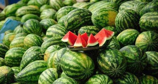 橘子吃瓜了,一场甜蜜的碰撞