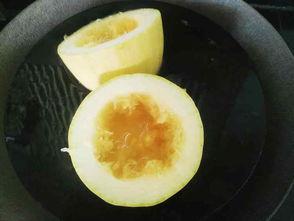 怎样吃绞瓜,轻松掌握健康美味吃法