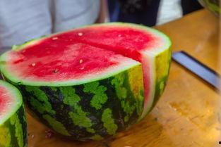 吃瓜捕鱼人,揭秘虚拟世界的欢乐与挑战