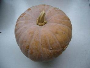 吃瓜曝光怎么整理,揭秘娱乐圈幕后真相