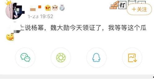 吃瓜官宣文案,揭秘娱乐圈幕后故事