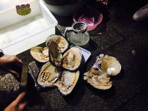 娘娘吃瓜免费阅读,娘娘吃瓜，揭秘后宫风云