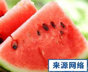 吃瓜 发胖,揭秘吃瓜发胖的真相与对策