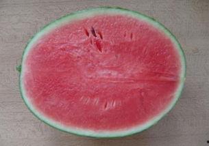 吃瓜群众做法大全,全方位解析瓜界生存指南