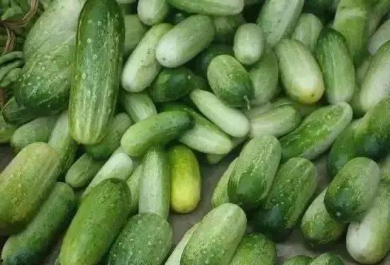 云南西林吃瓜,瓜果飘香，品味田园风光