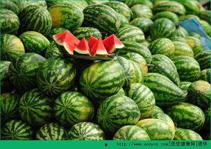 早上吃梨瓜,开启健康活力新一天