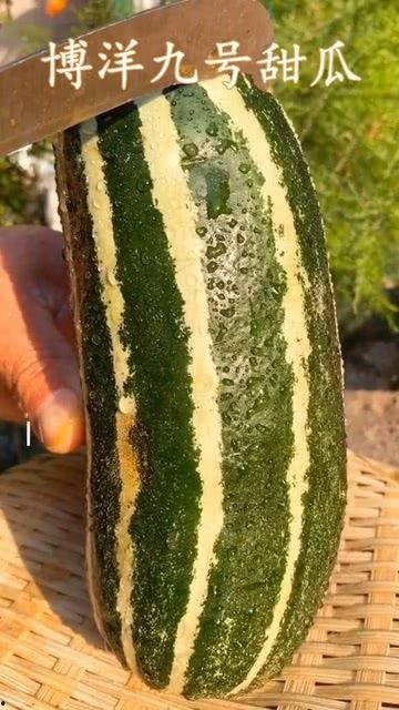 可以吃的瓜有哪些瓜,盘点那些美味可口的“瓜”类美食